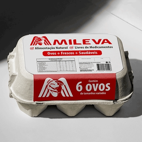 Comprar Layout de Rótulo Familia - até 3 layouts