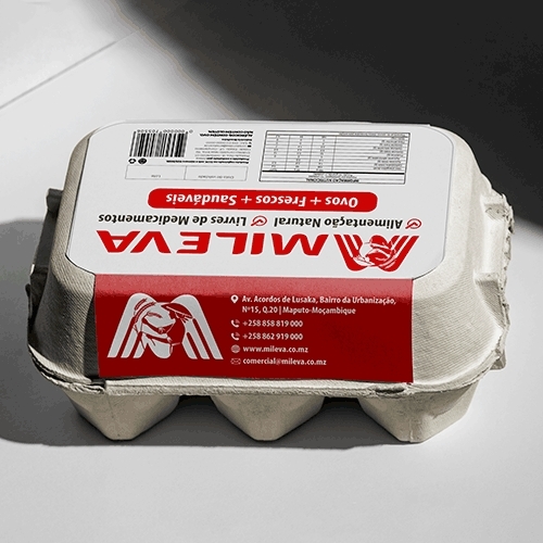 Comprar Layout de Rótulo Familia - até 3 layouts