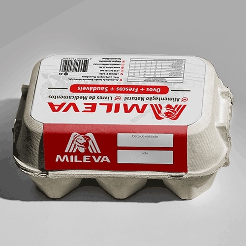 Comprar Layout de Rótulo Familia - até 3 layouts