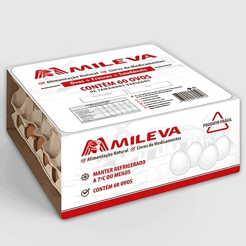 Comprar Layout de Rótulo Familia - até 3 layouts