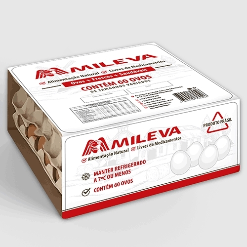 Comprar Layout de Rótulo Familia - até 3 layouts