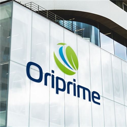 Comprar Logo e Papelaria (6 itens)