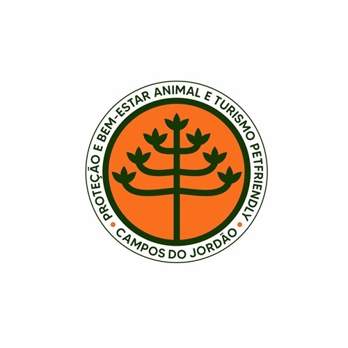 Comprar Logo + Manual Básico