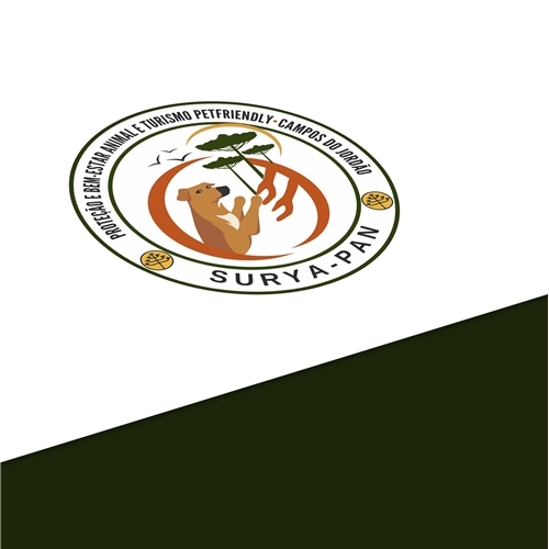 Comprar Logo + Manual Básico