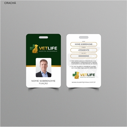 Comprar Logotipo + Papelaria Profissional + Manual