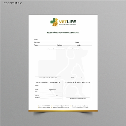 Comprar Logotipo + Papelaria Profissional + Manual