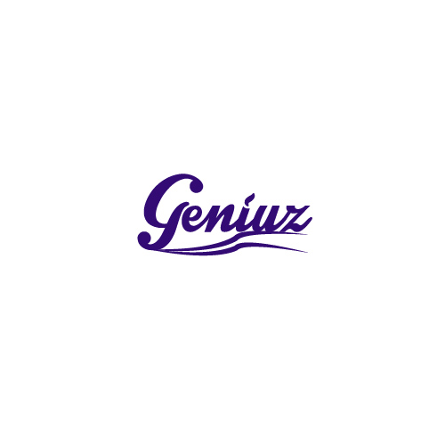 Geniuz | Criação de Logo Para