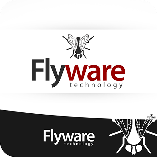 Flyware | Criação de Logo Para tecnologia