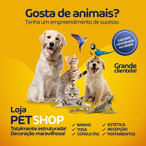 PET HOUSE JOINVILLE /PET SHOP Criação de Panfleto Para Animais