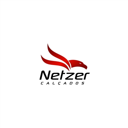 Netzer | Criação de Logo Para Outros