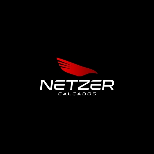 Netzer | Criação de Logo Para Outros