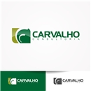 logo-campeã