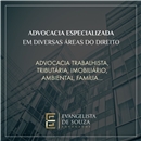 logo-campeã