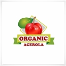 logo-campeã