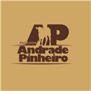logo-campeã