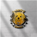 logo-campeã
