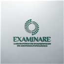 logo-campeã