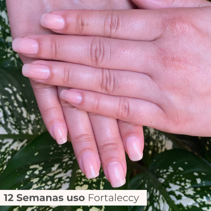 TRATAMENTO 3 MESES FORTALECCY     CABELOS | UNHAS | SOBRANCELHAS