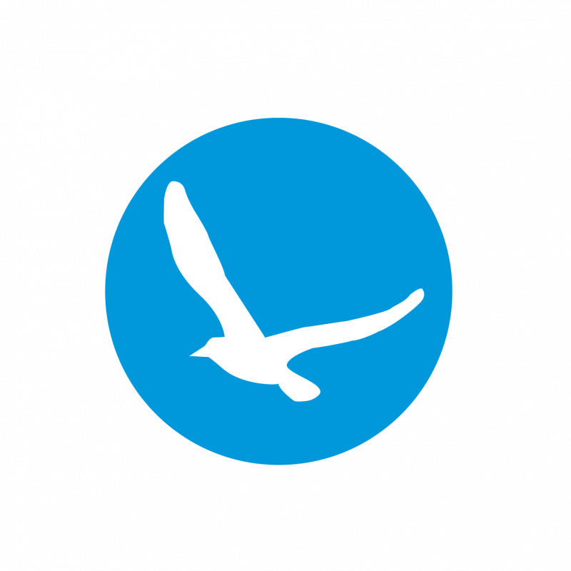 Gaivotas - O Chamado