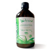 Aloe Viver