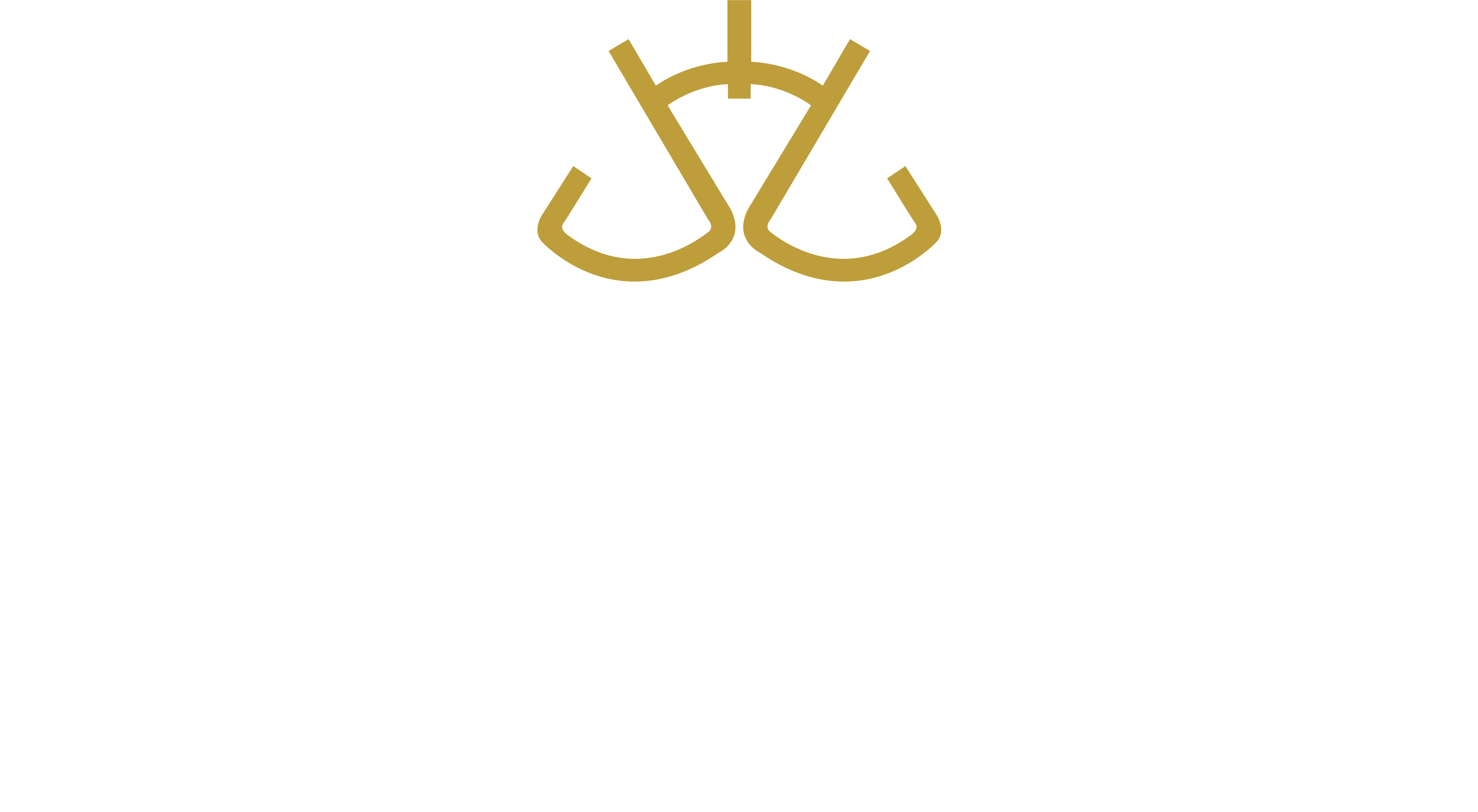 IBAJUD - by INTI