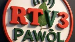 Intro RTV3PAWÒL