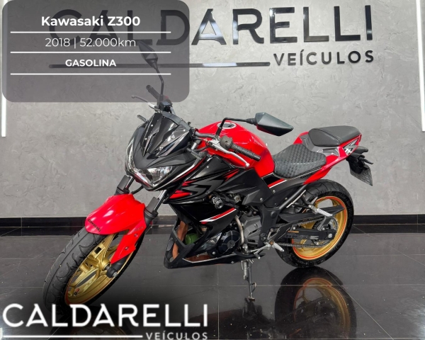 Caldarelli Veículos - 2018 Kawasaki Z 300 (ABS) Vermelho Básico