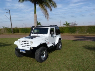 Troller T4 T4 4x4 3.0 (teto rígido) 2008
