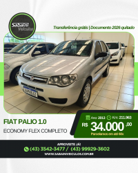 Palio Fire Economy 1.0 (Flex) 4p