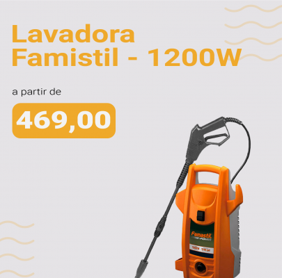 Banner Destaque Maior Lavadeira