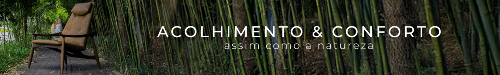 Celebrando o Conforto