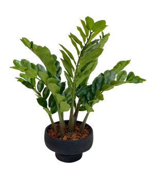 Cachepot Mart Baixo Cimento Preto - 