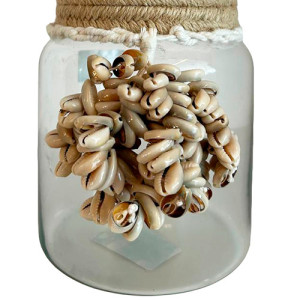 Vaso Cocoalho - Buzio P - 