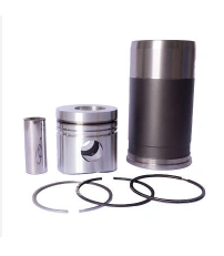 Kit Motor Mwm Td229 Veicular/Estacionario