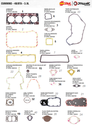 Junta Retificacao Cummins 4bt 3.9