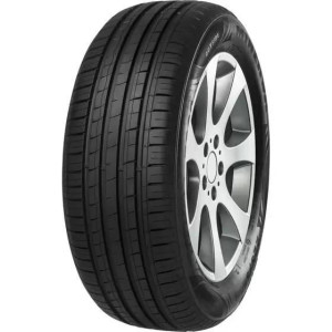 MINERVA PNEU F209 205/60 R16 92H