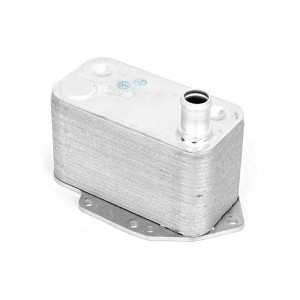 Radiador Óleo Bmw X3 X5 E90 E60 E46 E65 E70  7788462