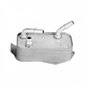 Resfriador Oleo Bmw X1 320i 328i 330i 335i Z4 17217529499