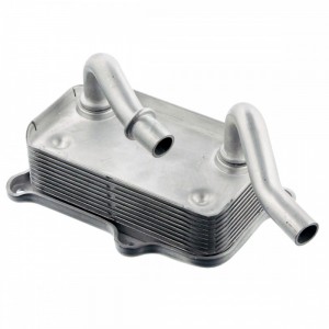 Radiador Óleo Mercedes E320 CLK320 ML320 SLK320 1121880401