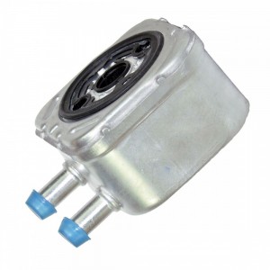 Resfriador Óleo Audi A3 A4 A6 A8 TT Golf Passat 028117021c
