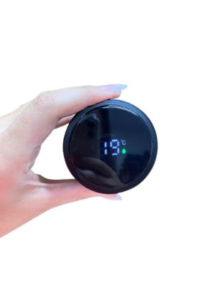 Squeeze Térmica Inox 450 ml Display Led - 