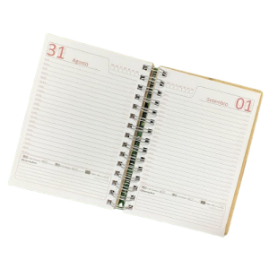 Agenda Permanente - MDF - 