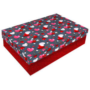 CAIXA RIGIDA RETANGULAR BAIXA - 37 - Kit c/4 tamanhos - 1 peça cada