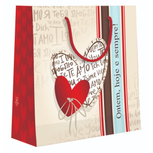 KIT C/6 SACOLAS ONTEM HOJE E SEMPRE 22,5X21