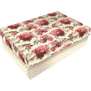 CAIXA RIGIDA RETANGULAR - 67 -  Kit c/4 tamanhos - 1 peça cada