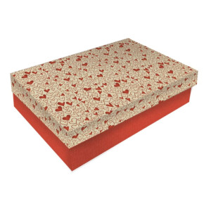 CAIXA RIGIDA RETANGULAR BAIXA - 23 - Kit c/4 tamanhos - 1 peça cada