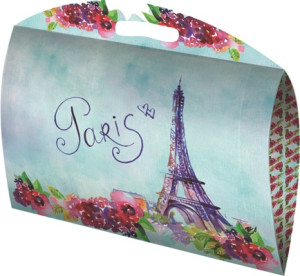 MALETA - BIVAR - 03 - Kit c/2 tamanhos - 5 jogos P 27X29X6,5 G 30X32X8