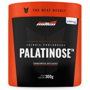 Palatinose - 300g - New Millen