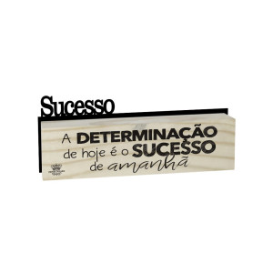 MADEIRINHA DUPLA SUCESSO...A DETERMINAÇÃO...7X19