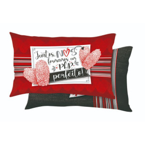 ALMOFADA JUNTOS NÓS FORMAMOS UM PAR PERFEITO 22,5X37